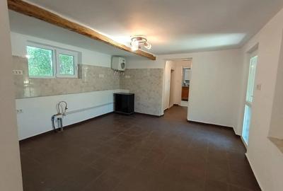 Casă cu 5 camere cu Teren 2509 Mp în Icoana
