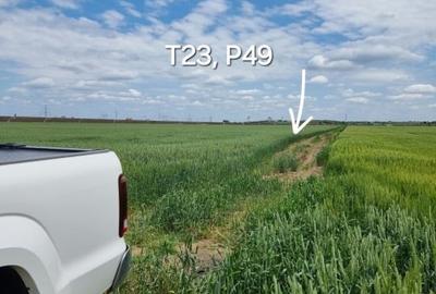 Teren agricol extravilan de 33100 mp, în Glina - 9