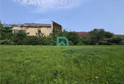 Teren agricol intravilan de 1263 mp, în Brașovul Vechi - 6