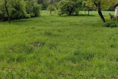 Teren Construcții intravilan de 4961 mp, în Stejar - 7