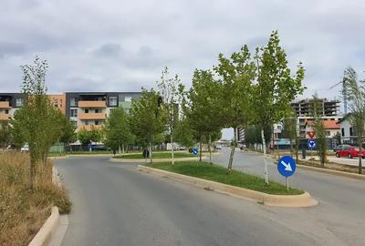 Apartament cu 2 camere decomandat în Theodor Pallady