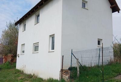 Casă cu 3 camere în Topârcea