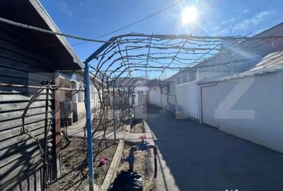Spațiu comercial, de 172 mp, în Brazda lui Novac - 3