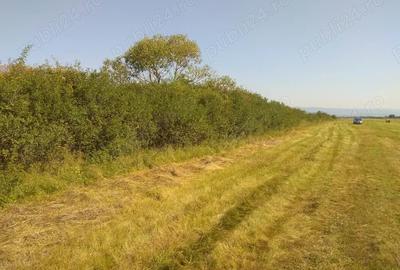 Teren de 5800 mp, în Suseni
