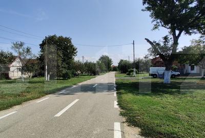 Teren de 2707 mp, în Belinț - 1