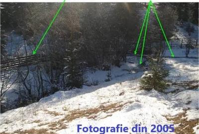 Teren de 6450 mp, în Neagra - 2