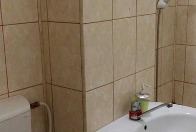 Garsonieră decomandată în Valea Rosie - 2