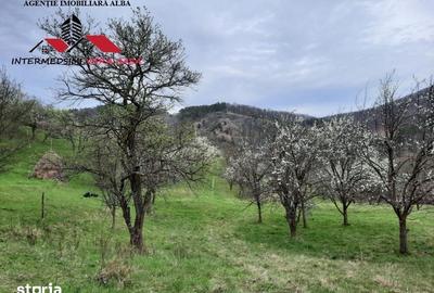 Teren de 1500 mp, în Vințu de Jos - 3