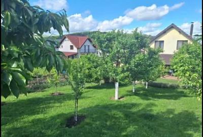 Casă cu 3 camere cu Teren 1000 Mp în Central - 3