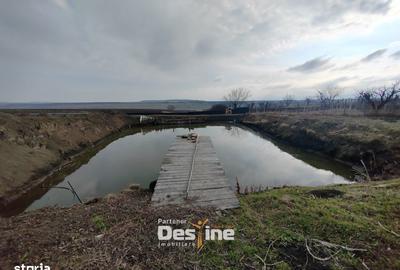 Casă cu 4 camere cu Teren 1000 Mp în Mogoșești - 14