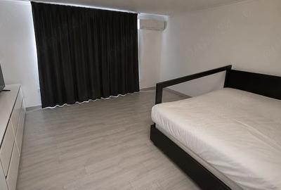 Casă cu Teren 432 Mp în Plopi - 4