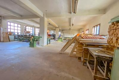 Spațiu industrial, de 1,473 mp, în Tulgheș - 7