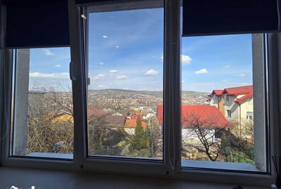 Garsonieră în Gruia - 8