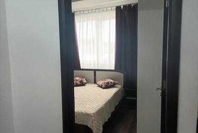 Apartament cu 2 camere semidecomandat, mobilat în Brazda lui Novac - 13