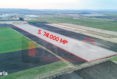 Teren de 74000 mp, în Șura Mică