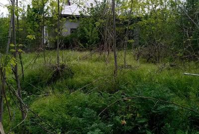 Casă cu 3 camere cu Teren 1000 Mp în Ulmu - 4