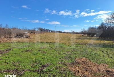 Teren de 4400 mp, în Baciu - 1
