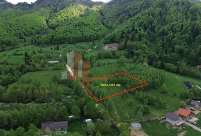 Teren Construcții intravilan de 5261 mp, în Tohănița - 1