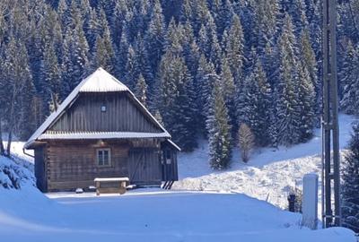 Teren agricol intravilan de 1505 mp, în Muntele Bocului - 6