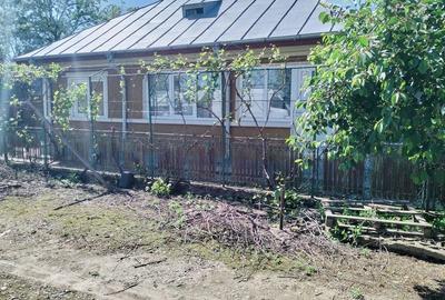 Casă cu 4 camere cu Teren 1850 Mp în Maia - 2