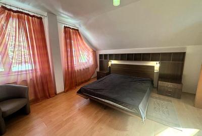 Casă individuală cu 10 camere cu Piscina în Malul Ursului - 37