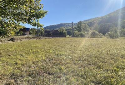 Teren de 2000 mp, în Băile Chirui
