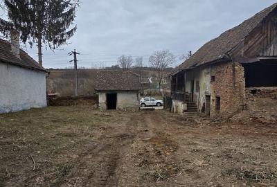 Spațiu comercial, în Zlagna - 2