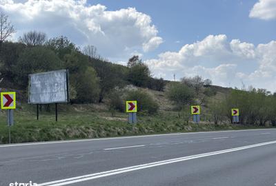Teren de 2369 mp, în Feleacu