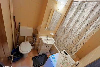 Garsonieră în Valea Rosie