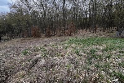 Teren Construcții intravilan de 500 mp, în Florești - 2