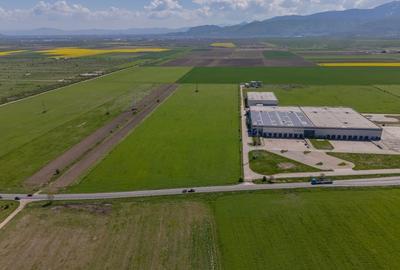 Teren Construcții intravilan de 20000 mp, în Codlea - 8