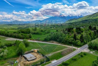 Teren Construcții intravilan de 646 mp, în Tohănița - 4