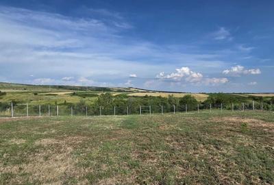 Teren de 2496 mp, în Brădești