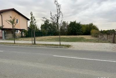 Teren de 866 mp, în Buziașului - 1