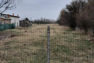 Teren de 3687 mp, în Poiana Lacului - 6