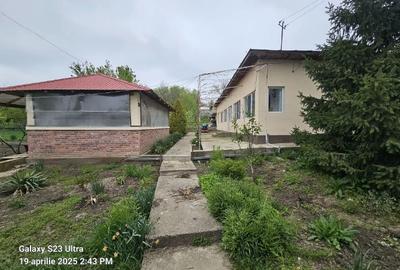Casă cu 3 camere cu Teren 3300 Mp în Gogoșari - 2