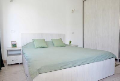 Apartament cu 2 camere decomandat în Valea Lupului - 8