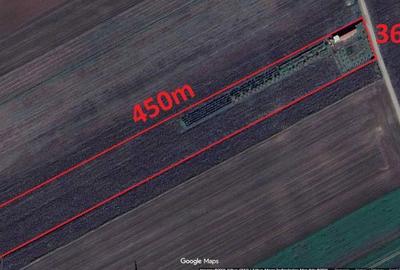 Teren de 15000 mp, în Hărman - 6