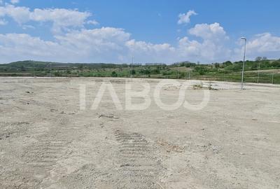 Teren Construcții intravilan de 40000 mp, în Teiuș - 3