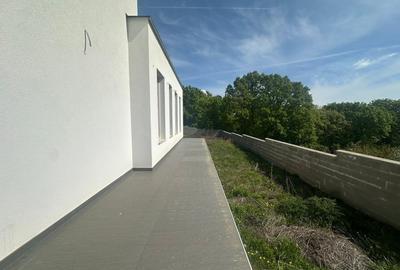 Casă individuală cu 7 camere cu Teren 1000 Mp în Cetate - 15