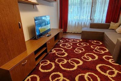 Apartament cu 2 camere semidecomandat în Ozana
