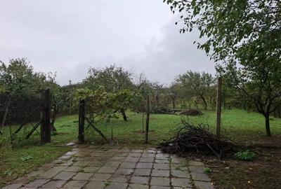 Casă cu Teren 1562 Mp în Central