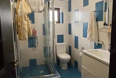 Casă cu Teren 641 Mp în Lunca Cetățuii - 10