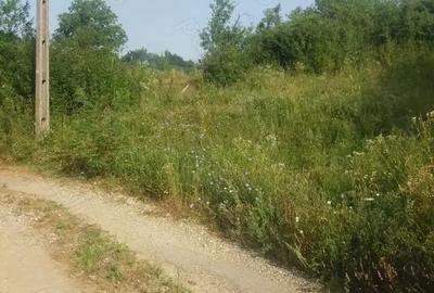 Teren de 1900 mp, în Fedeleșoiu - 3