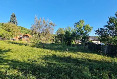 Teren de 2000 mp, în Prosia