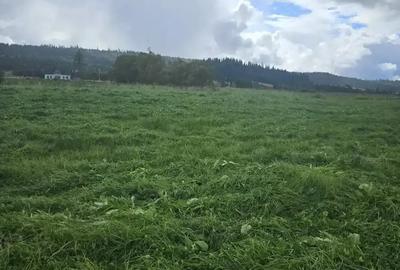 Teren de 5908 mp, în Poiana Stampei - 2