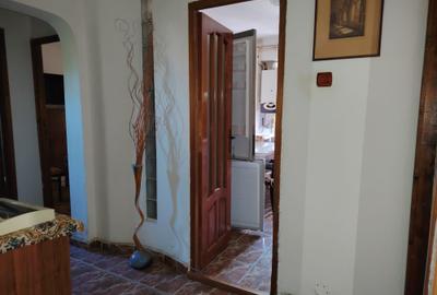 Apartament cu 3 camere decomandat în Lăpuș - 8