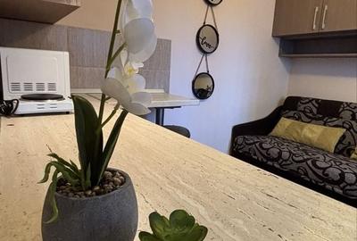 Garsonieră în Lotus - 2
