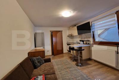 Apartament cu 2 camere semidecomandat în Plopilor - 3