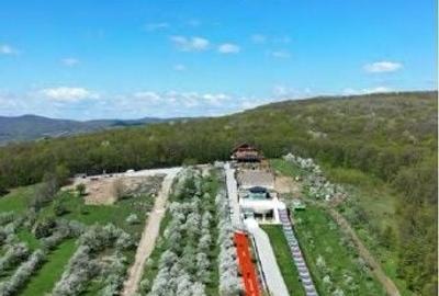 Teren de 1500 mp, în Grebănu